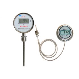 數(shù)字式溫度計(jì)